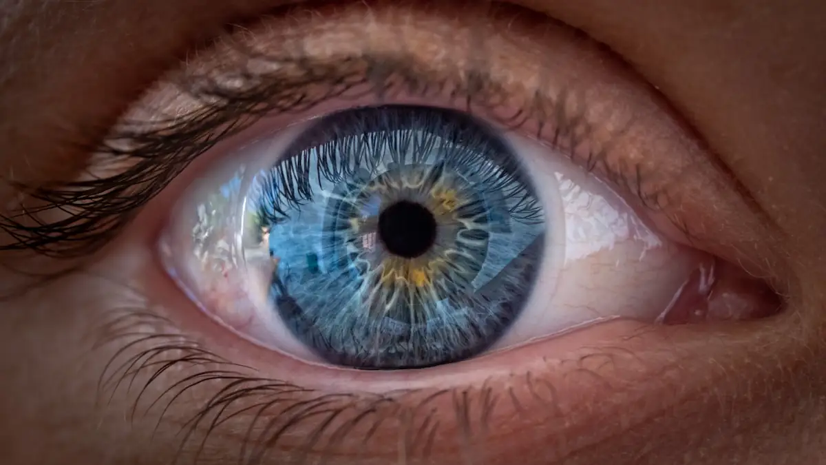 Farben, Kontraste und mehr: So unterschiedlich sehen Frauen und Männer