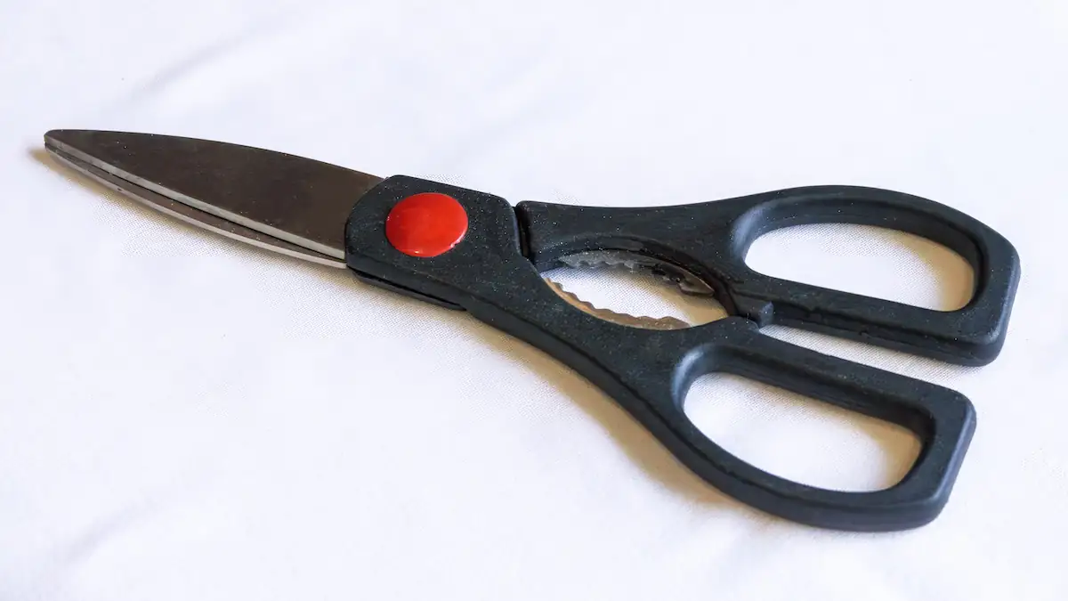 Verblüffende Funktionen: Wofür die Metallzacken am Griff der Schere da sind