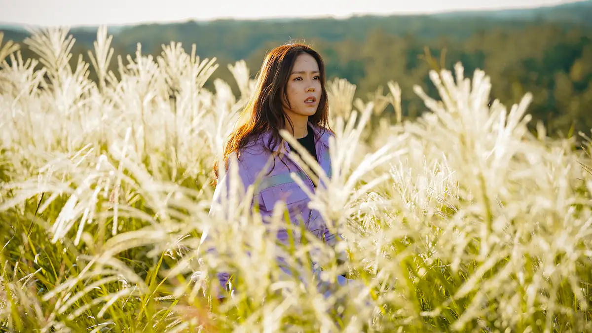 100 Prozent bei Rotten Tomatoes: Netflix-Nutzer schauen diese Serie immer wieder – „Kann nicht genug bekommen“