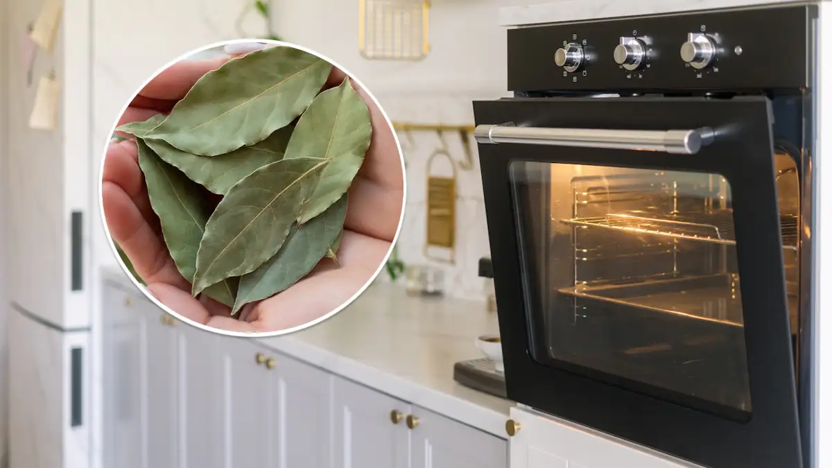 Kaum bekannter Hausmitteltrick: Was bringt ein Lorbeerblatt im Ofen?