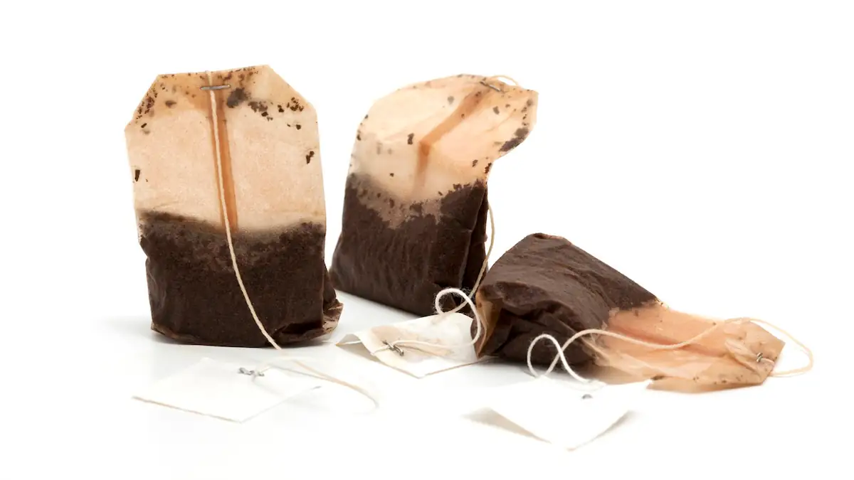 Viraler Putztrend: Helfen Teebeutel in der Toilette wirklich?