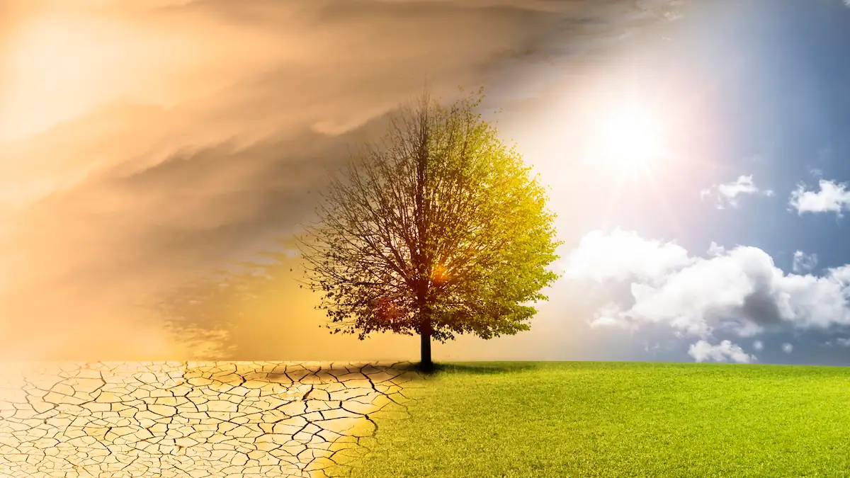 Wasserknappheit in Deutschland nimmt rapide zu: Experten warnen – „Kein Puffer“