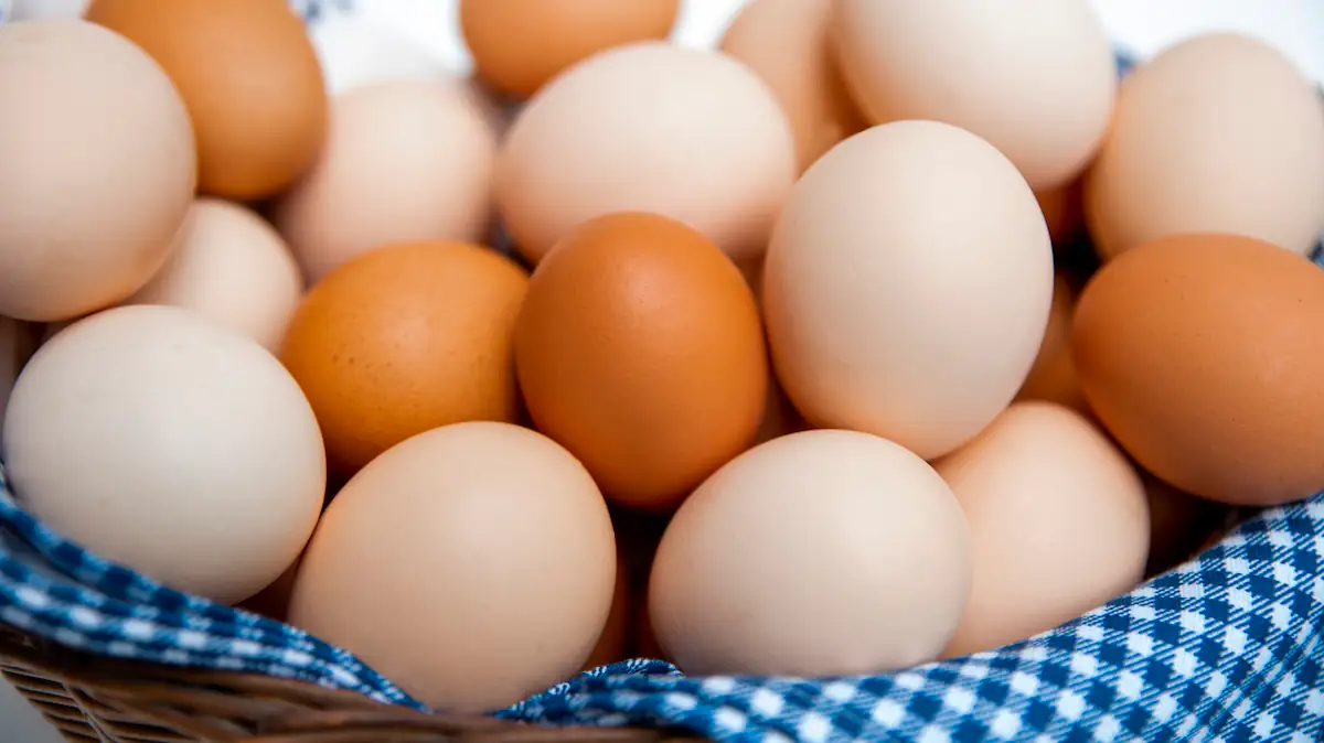 Warum gibt es eigentlich braune und weiße Eier von Hühnern?