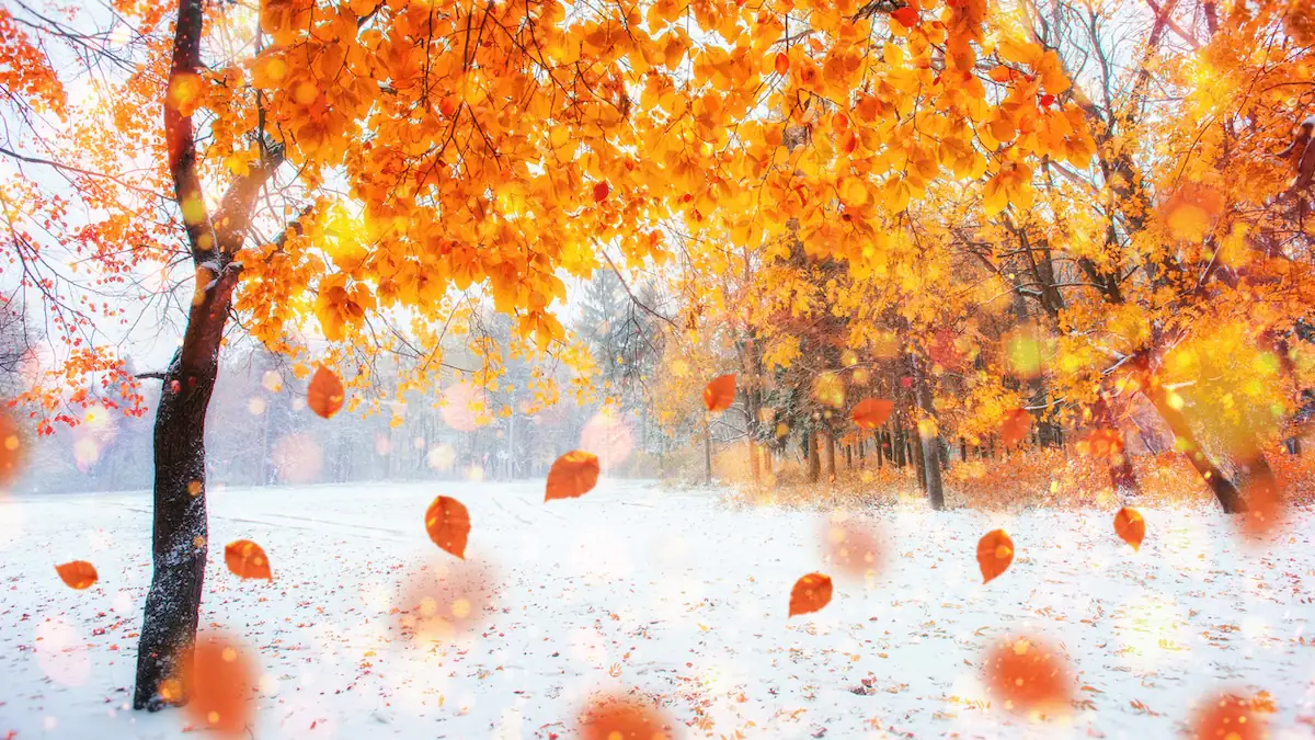 Laut hundertjährigem Kalender: Wann im Winter 2025 der erste Schnee in Deutschland fällt