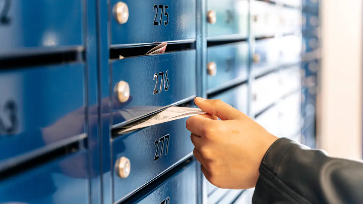 Plötzlich Saatgut im Briefkasten? Deshalb sollte man sofort handeln