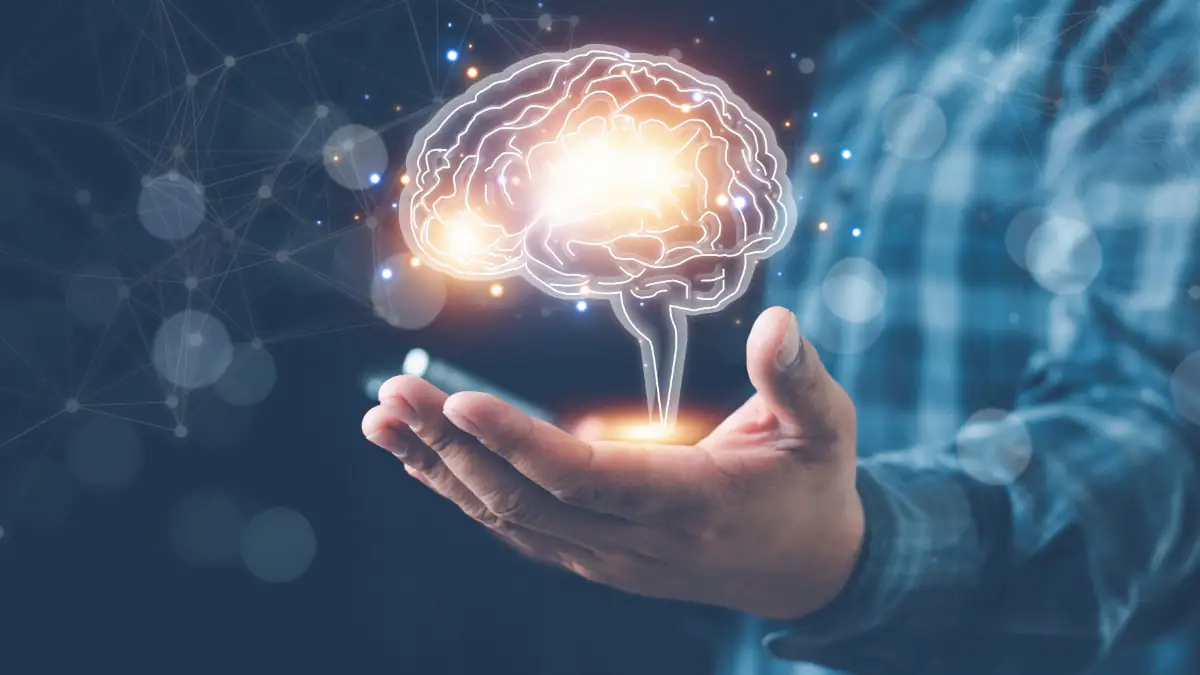 Vier Merkmale: An diesen Eigenschaften erkennt man intelligente Menschen