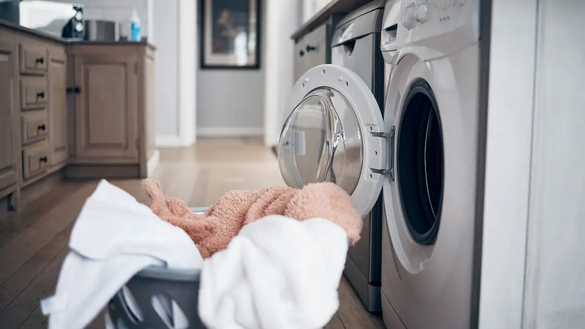 Waschmaschinen-Schäden vermeiden: Warum man die Tür des Geräts nicht offen lassen sollte