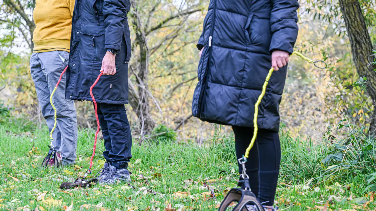 „Hobby Dogging“:  Warum Gassigehen ohne Hund der neue Trend ist