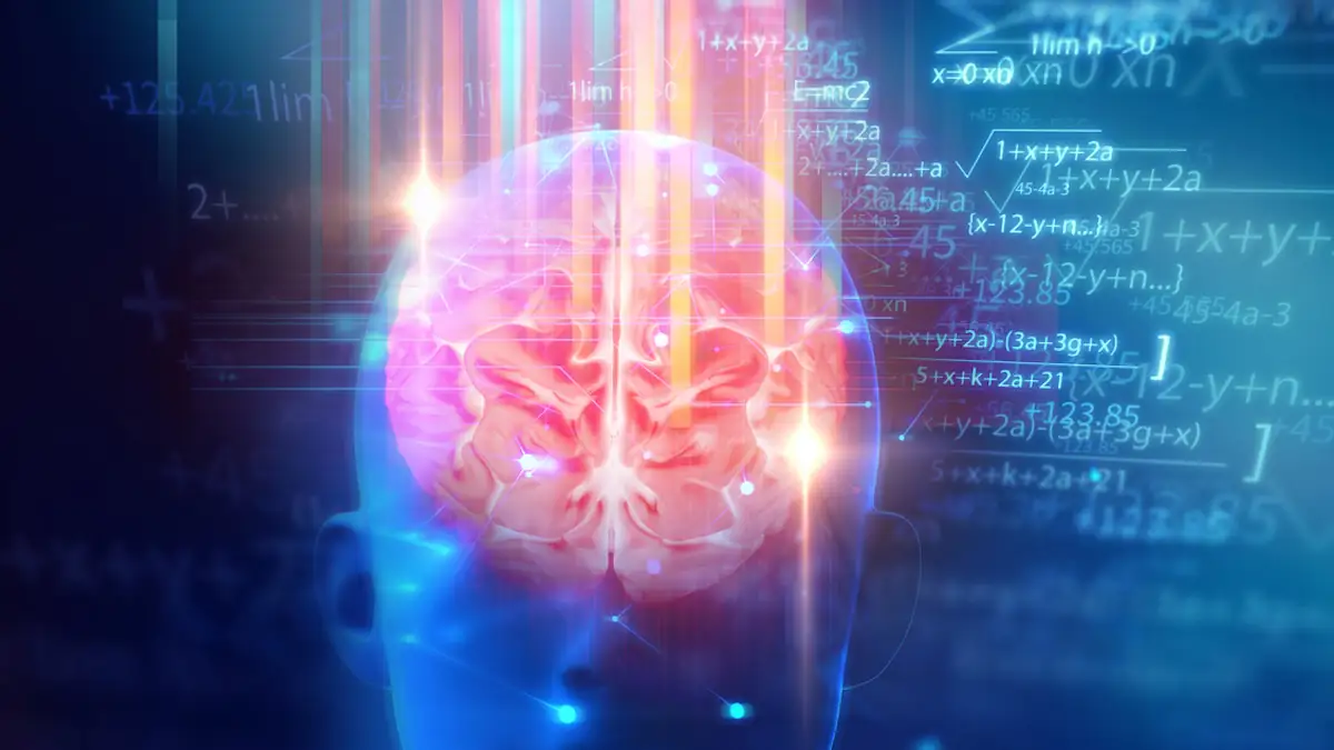 Neue Bewusstseinstheorie erklärt, was wirklich nach dem Tod passiert