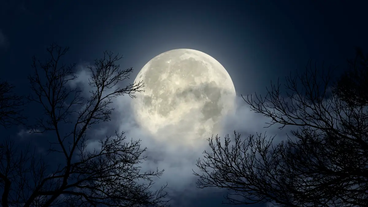 Das letzte Mal vor 2042: Seltener Super-Vollmond zeigt sich im Dezember