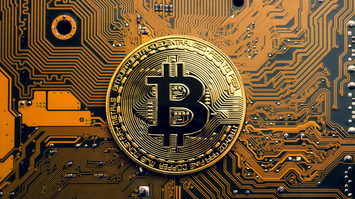 Im Wert von 425.000 Dollar: User entdecken Website, die 2010 Bitcoins verschenkte - "Brauche eine Zeitmaschine"