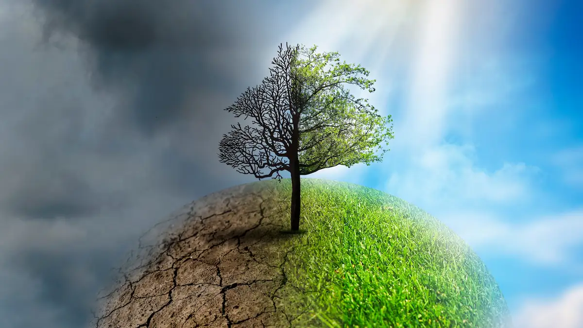 Klimaforscher schlagen Alarm: Erde nähert sich mehreren gefährlichen Kipppunkten