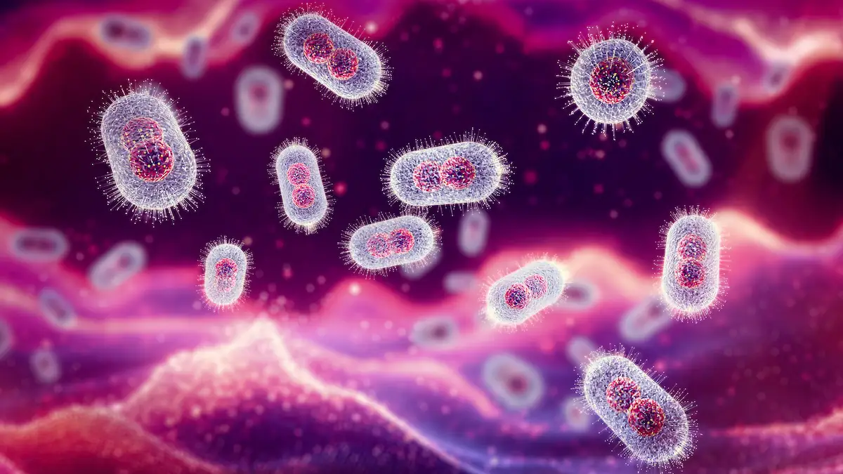 Neue Pandemie nur „eine Frage der Zeit“: Diese Viren sind die größte Bedrohung