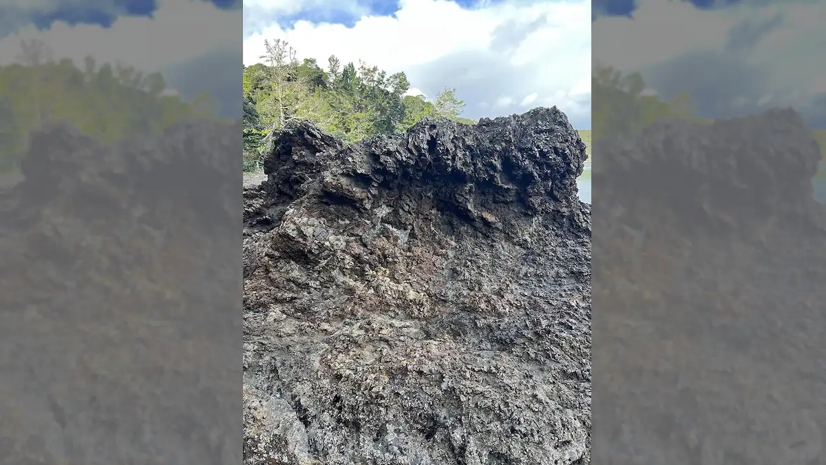 Wer sieht das Mädchen auf dem Bild? Nur Menschen mit „Sniper Vision“ können sie direkt entdecken