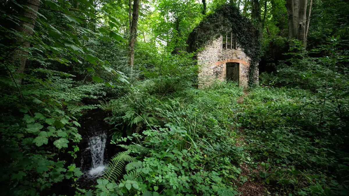 Bekannt aus berühmtem Musikvideo: Verlassenes Cottage wird günstig verkauft