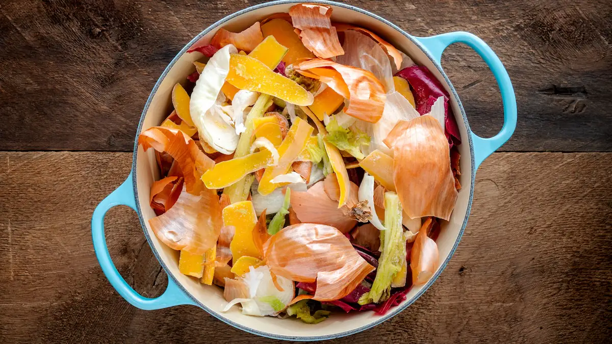 Warum diese Küchenabfälle nicht in den Müll gehören