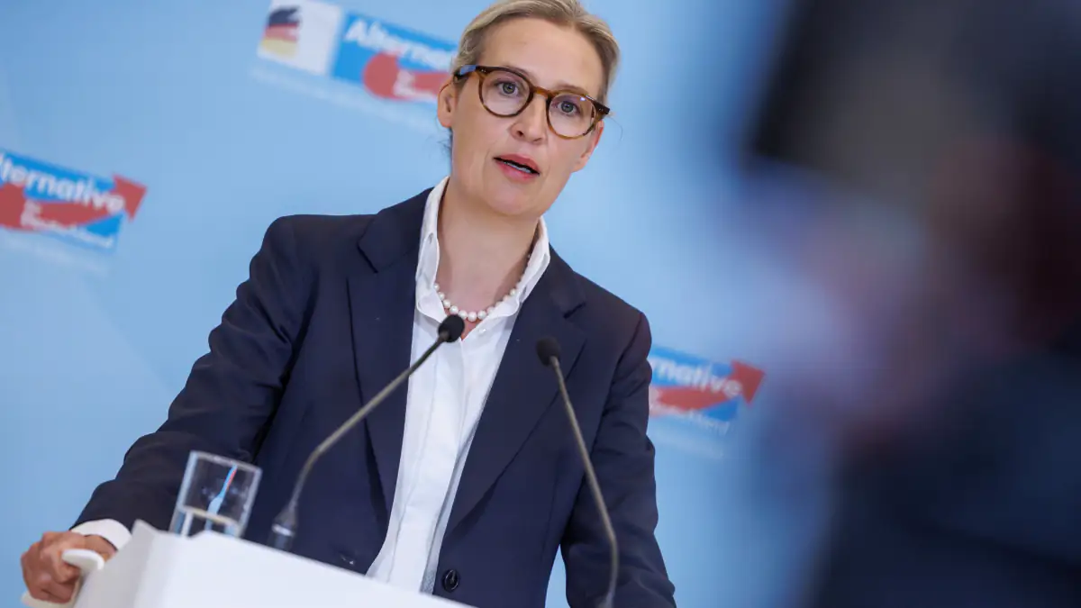 Vermögen der AfD: Rentnerin vermachte der Partei eine Million Euro