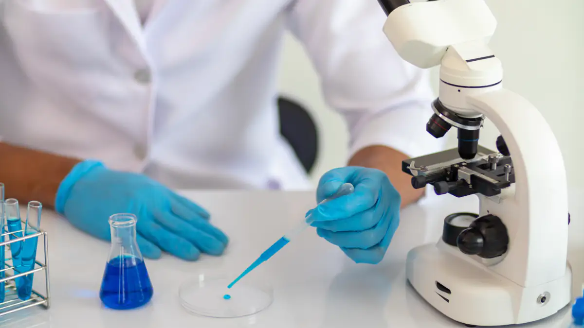 5000 Jahre eingefroren: Forscher entdecken uraltes Bakterium in rumänischer Eishöhle