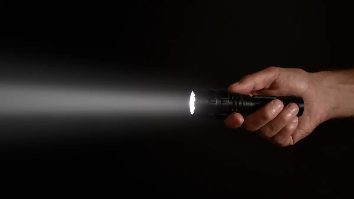 Tapetum lucidum: Warum man im Dunkeln nicht mit einer Taschenlampe ins Gras leuchten sollte