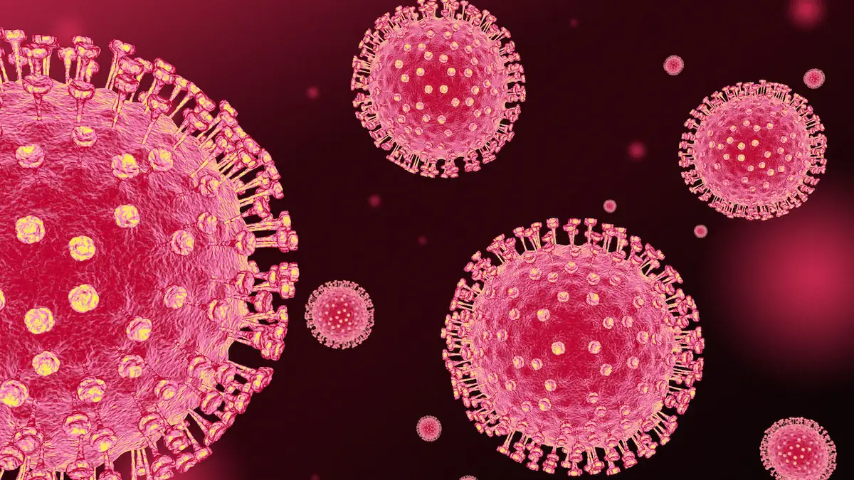 Erster Vogelgrippe-Infizierter in Europa: So ist die aktuelle Lage