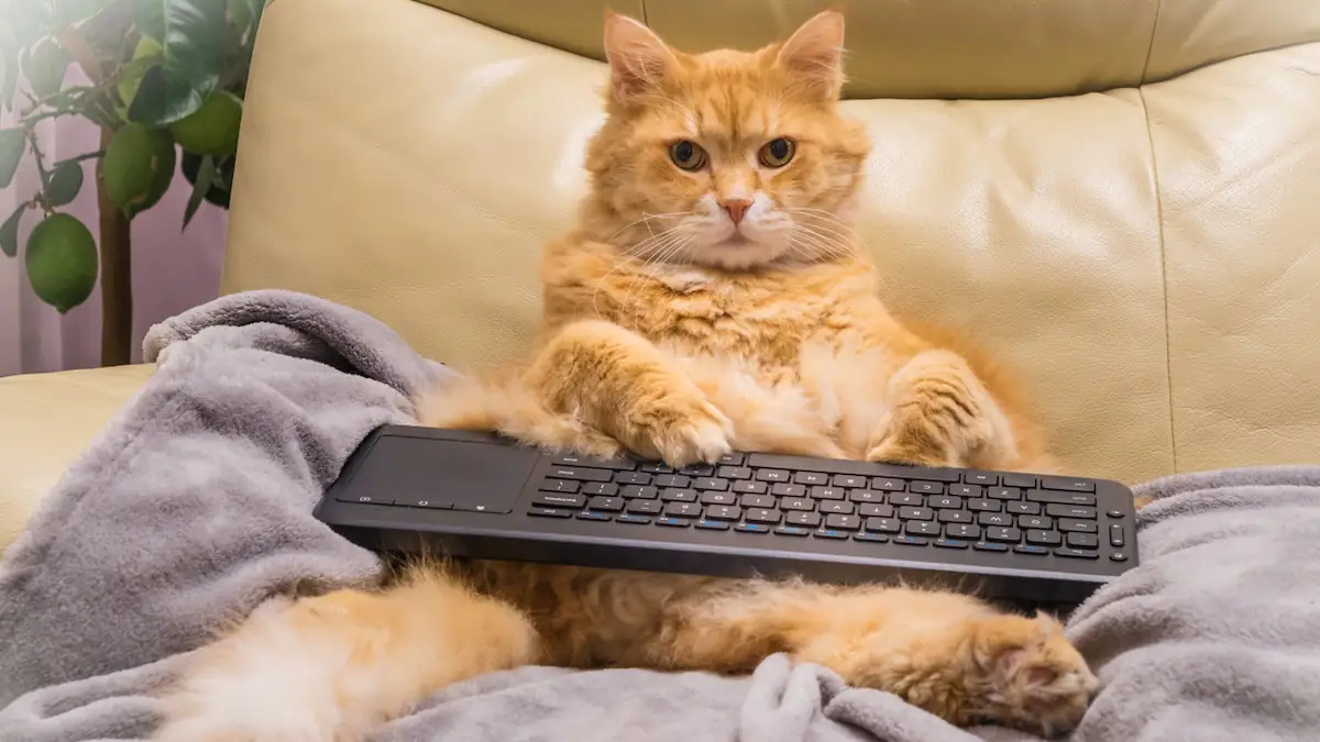 Eine Katze gegen Doomscrolling: Internet feiert ungewöhnliches Plug-in „Cat Gatekeeper“