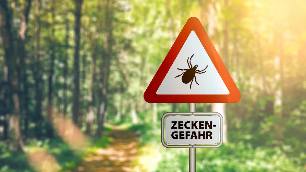 Zeckensaison geht los: Smartphone-Trick kann helfen, die Blutsauger zu finden