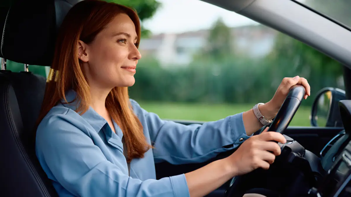 Neue EU-Vorschrift: Diese Regel müssen Autofahrer mit Haustieren kennen