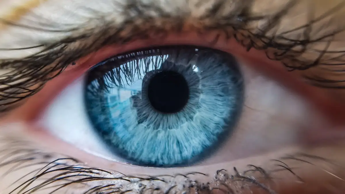 Alle Menschen mit blauen Augen stammen von derselben Person ab
