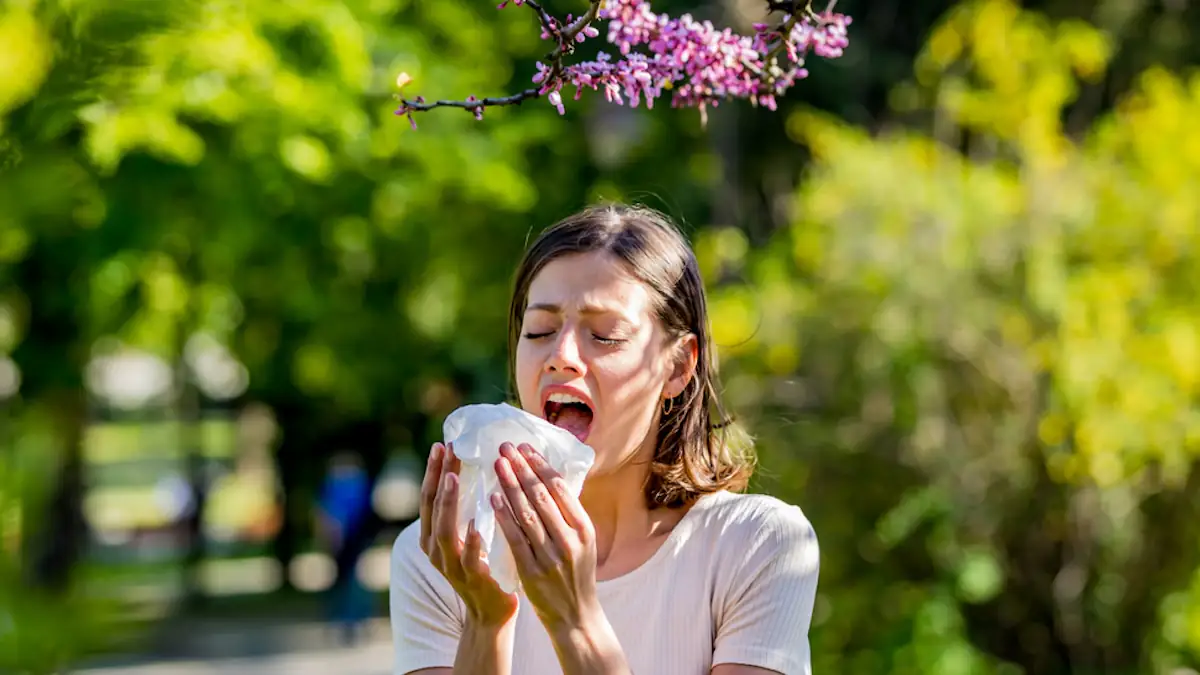 Sauberkeit vs. Pollen: Ist botanischer Sexismus schuld an immer mehr Allergien?
