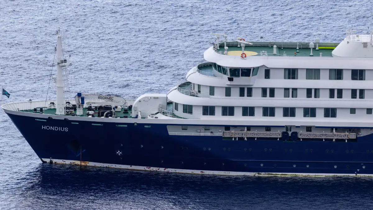 Hantavirus auf Kreuzfahrtschiff: Gefährlicher Andes-Typ nachgewiesen