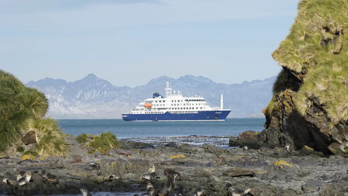 Hantavirus-Ausbruch: Drei Menschen sterben auf Kreuzfahrtschiff