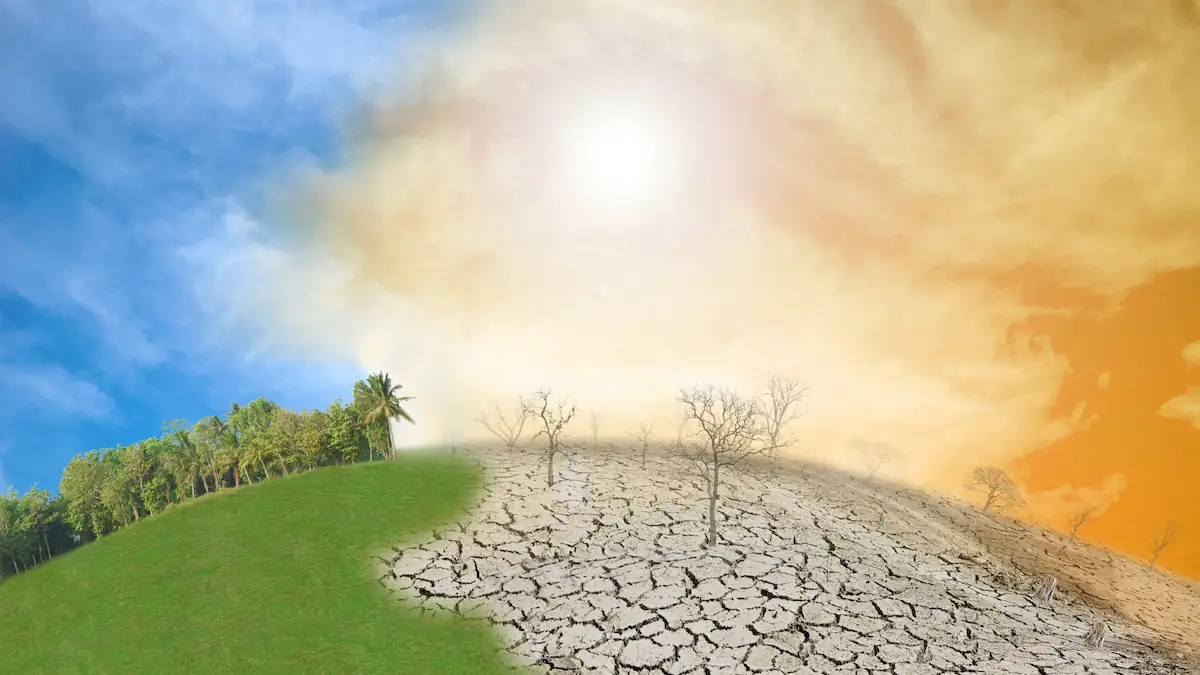 Hitzewellen und Preisschock: Was ein El Niño für die Welt bedeutet