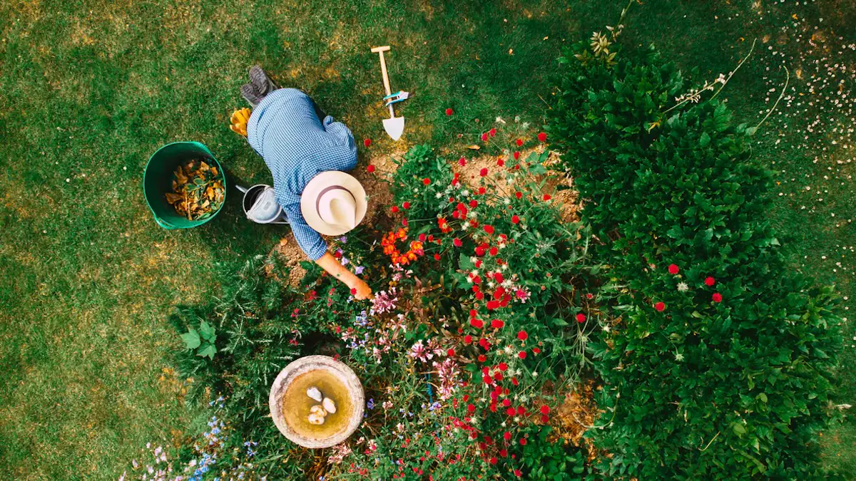 Gieß-Irrtümer und falsche Beetpartner: Diese Fehler sollte man im Garten vermeiden