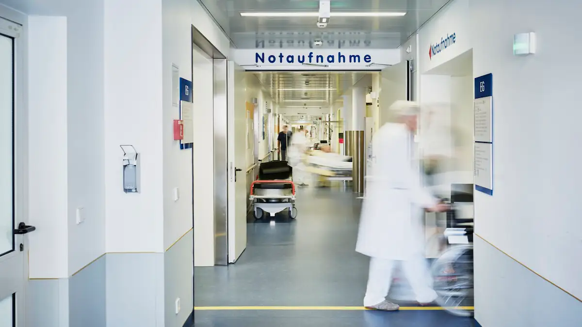 Immer mehr Menschen landen mit „Avocado-Hand“ im Krankenhaus