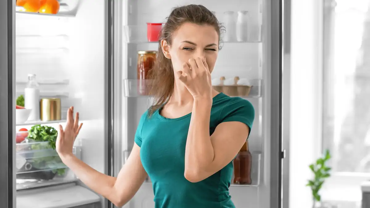 Kartoffeln gegen Gestank im Kühlschrank? Warum man das besser lassen sollte