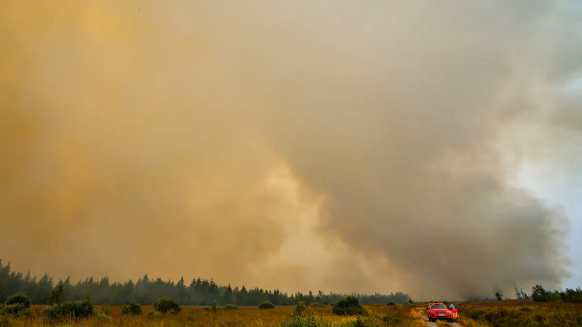 Warnung vor Brandgeruch, Rauch und Ascheregen in Deutschland