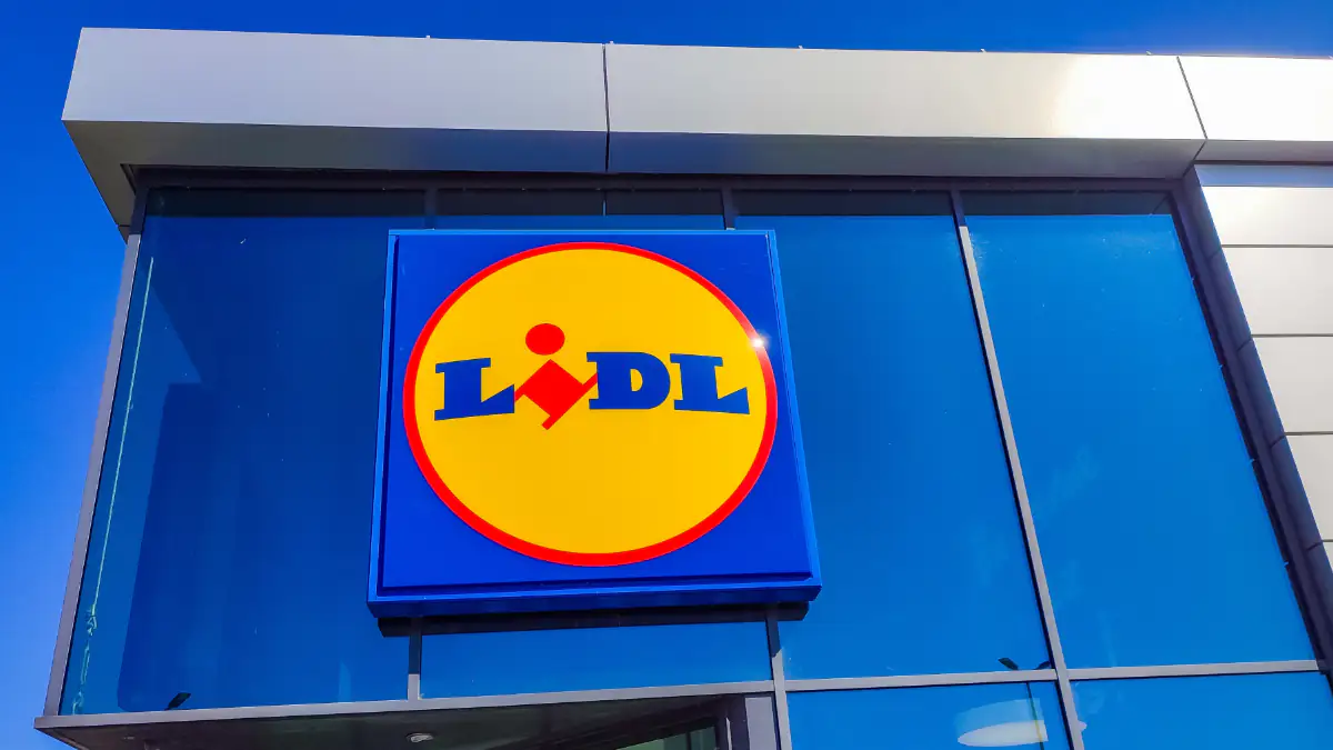 Warnung vor Durchfall und Erbrechen: Lidl ruft Protein-Pudding zurück