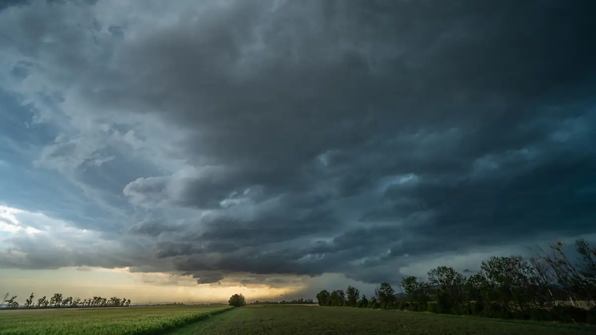 Alte Bauernregel: Das heutige Wetter soll wichtig für das kommende Jahr werden