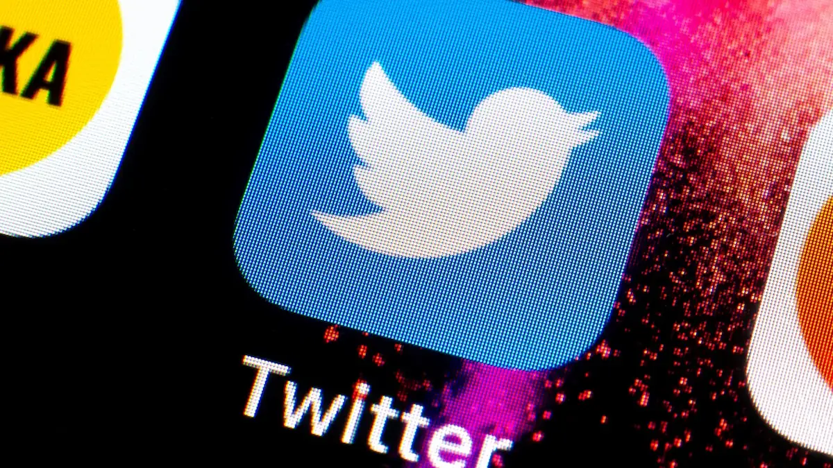 „Operation Bluebird“: Könnte Twitter tatsächlich zurückkommen?