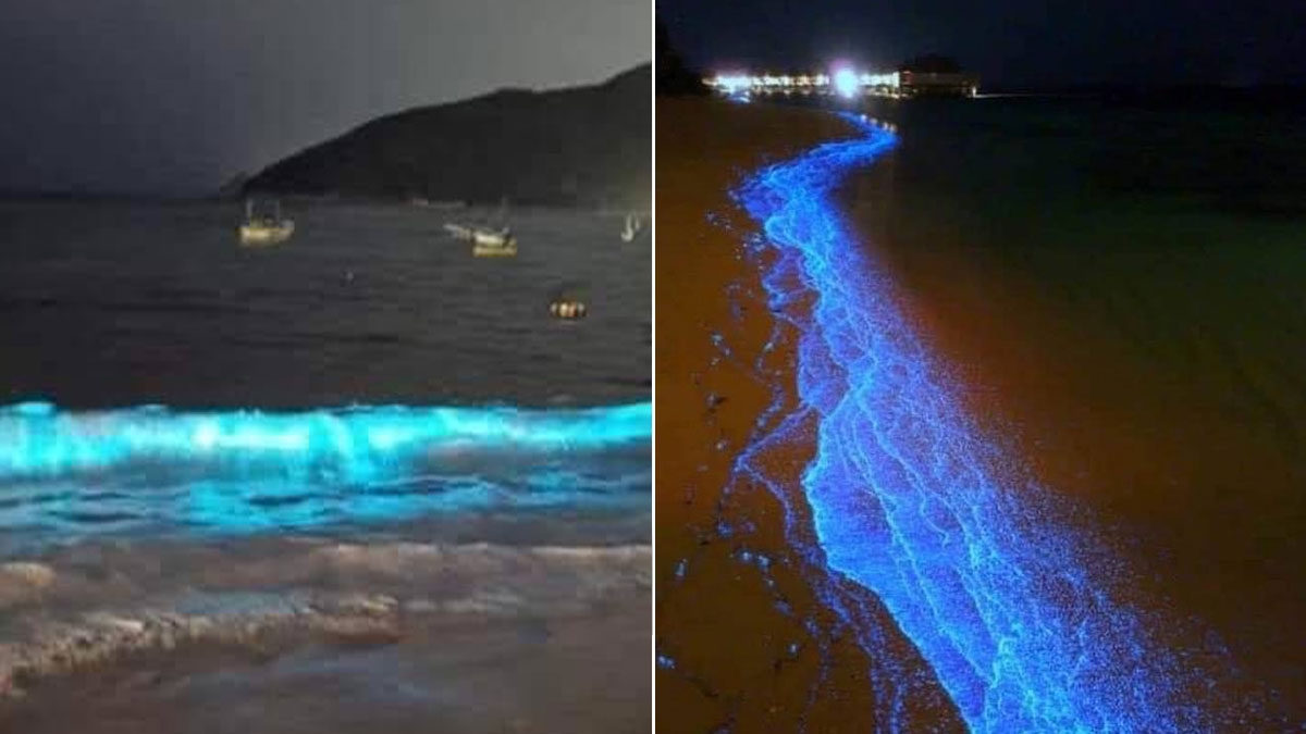 Strand von Acapulco: Ozean leuchtet das erste Mal seit 60 Jahren im strahlenden Neonblau