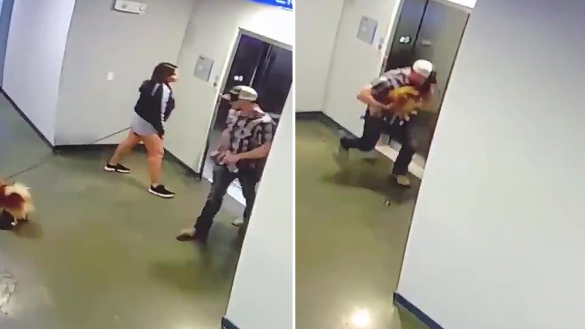 Leine hängt im Fahrstuhl fest: Mann rettet Hund in letzter Sekunde vor dem Tod