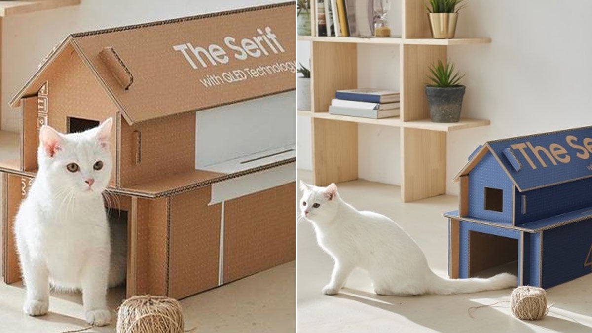 Samsung: Mit den Kartons der Fernseher kann man Katzenhäuser bauen
