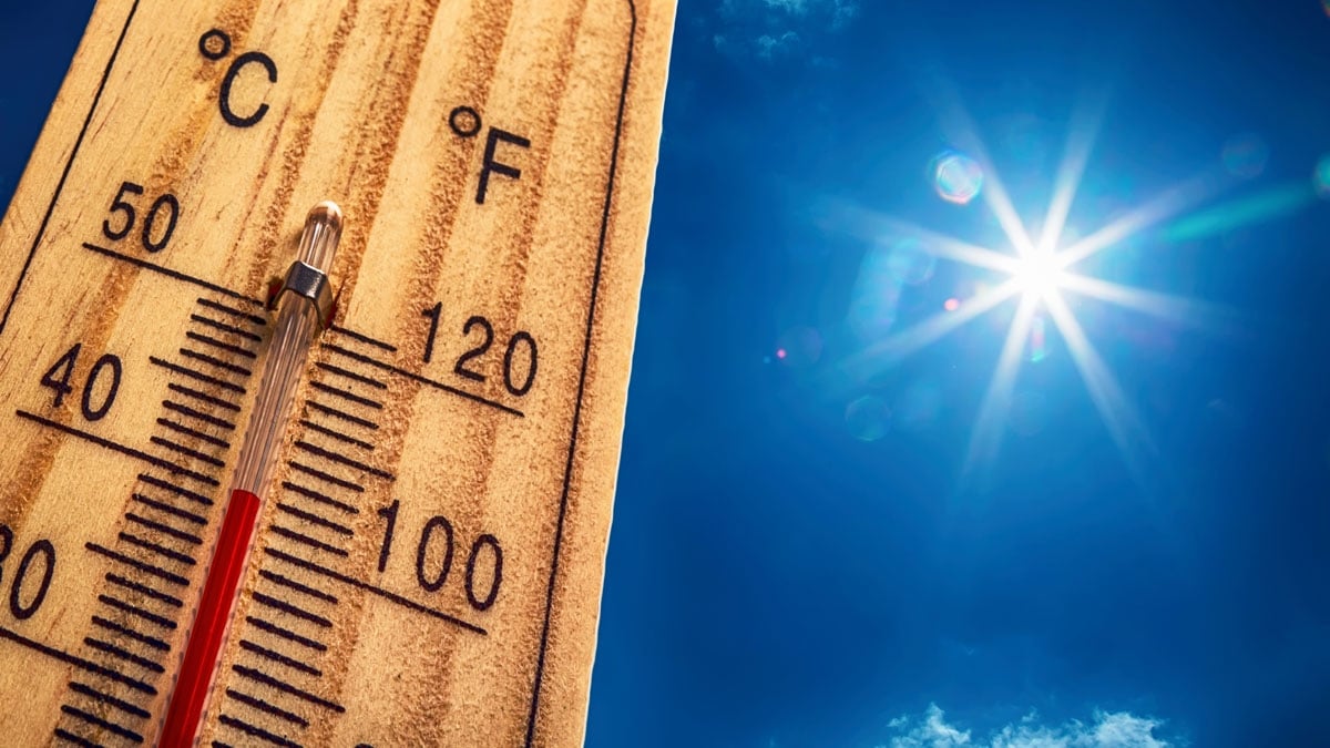 Sommer 2020: Forscher prophezeien den wärmsten Sommer aller Zeiten