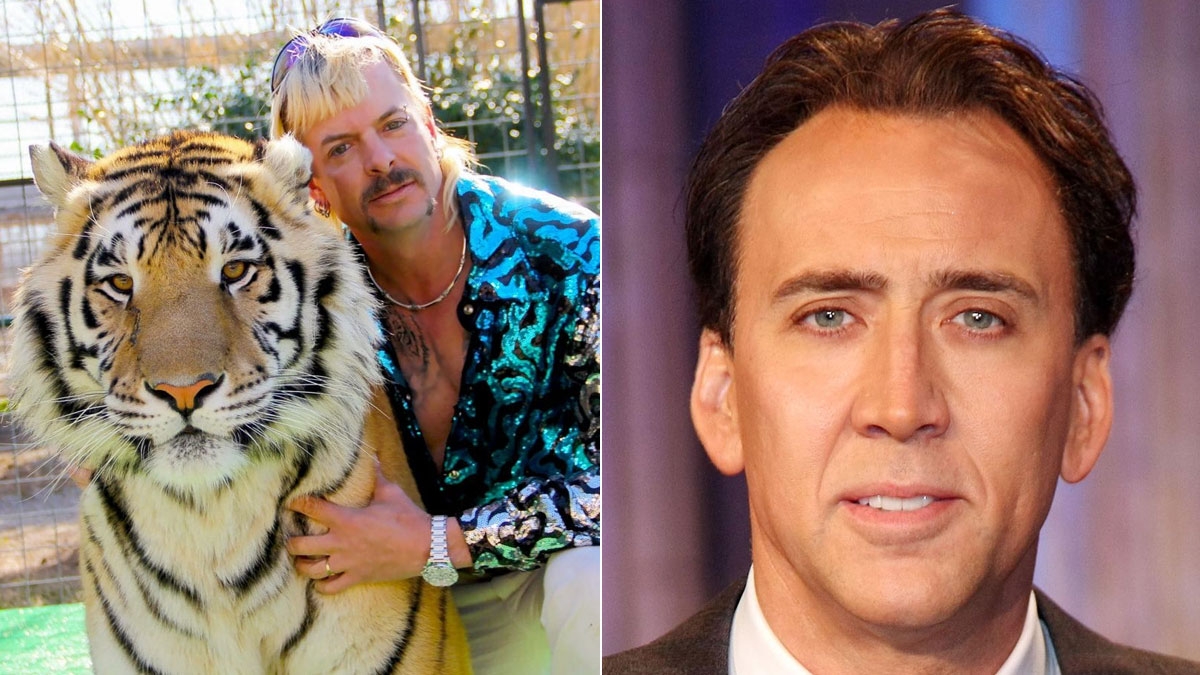Neue „Tiger King“-Serie mit Nicolas Cage geplant