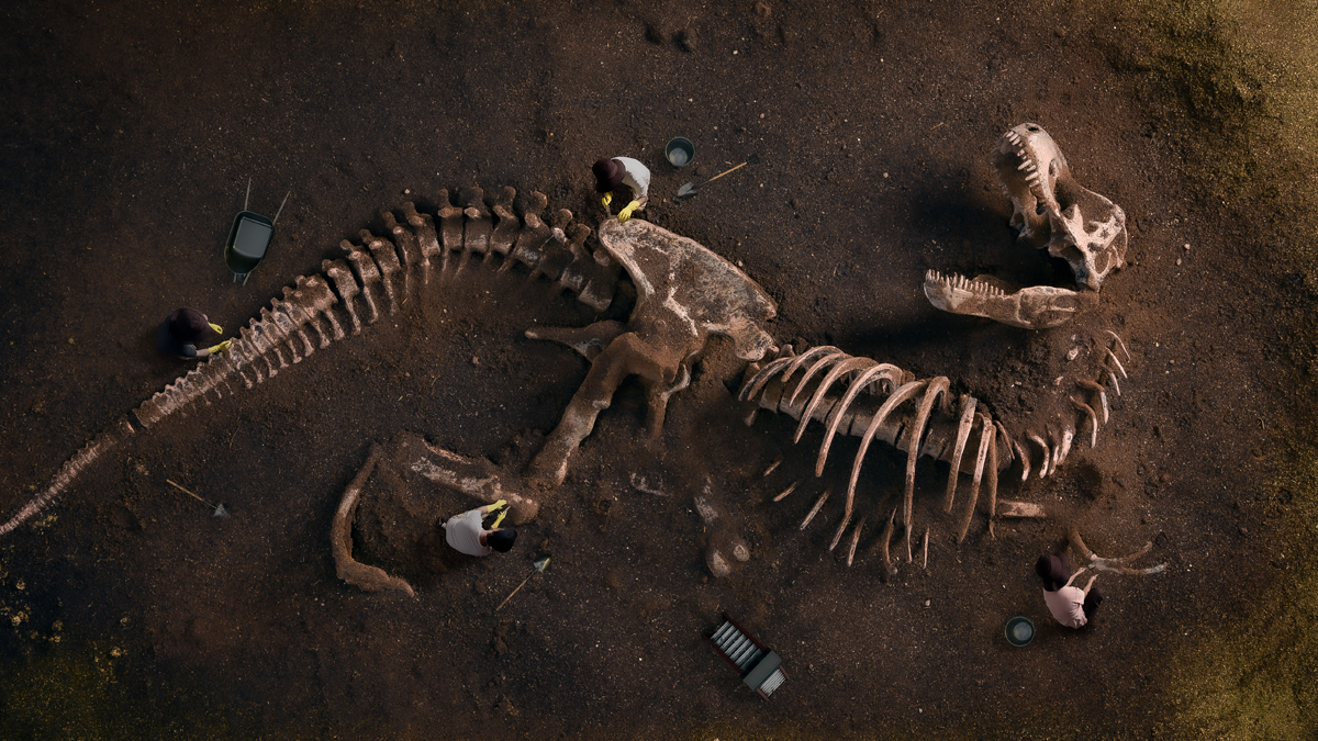 Rätsel um Aussterben der Dinosaurier soll gelöst sein