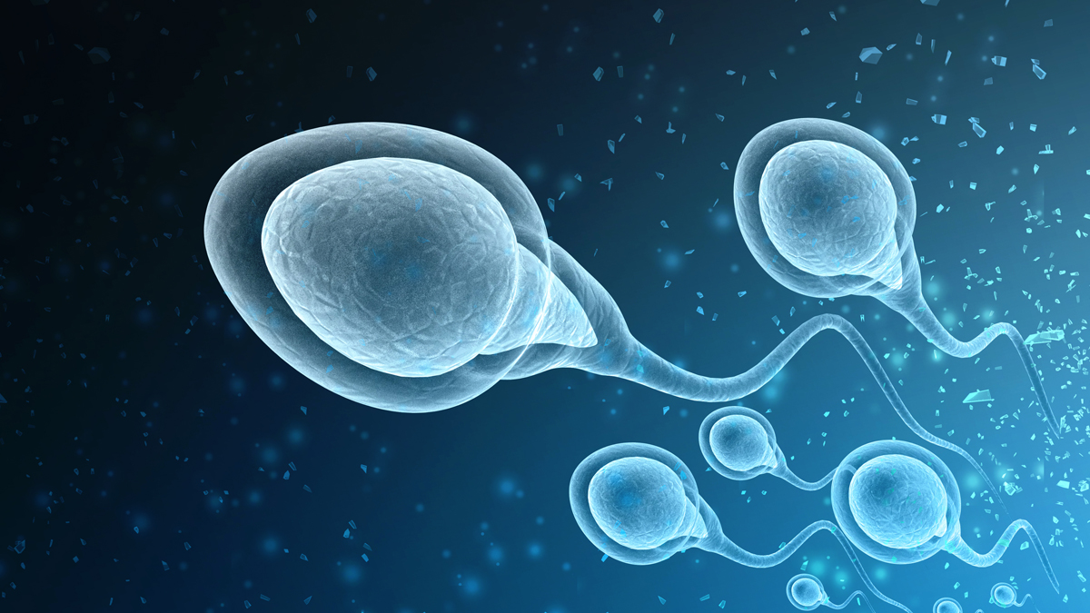 Studie behauptet: Corona-Impfung mit Biontech und Moderna verbessert Sperma-Qualität