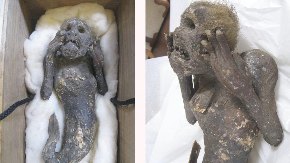 „Mumien-Meerjungfrau“ gibt Forschern 300 Jahre altes Rätsel auf