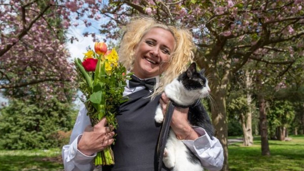 Wegen bösem Vermieter: Frau heiratet ihre Katze