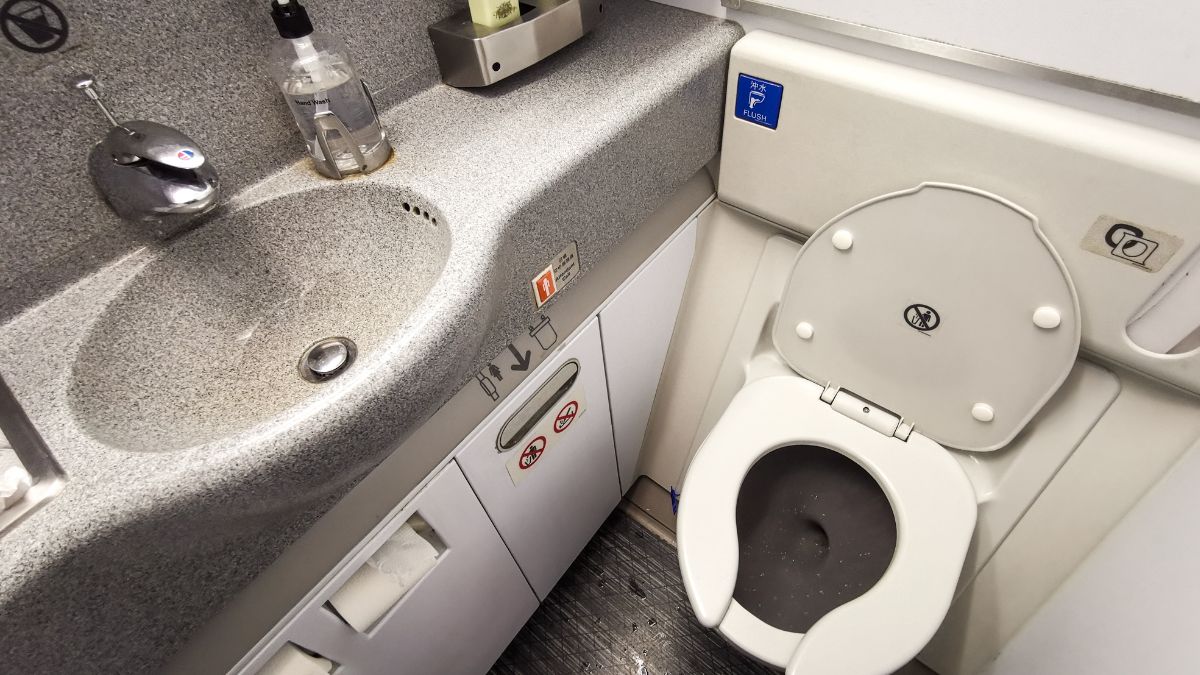 Flugbegleiterin appelliert: Im Flugzeug niemals Toilettenpapier benutzen!