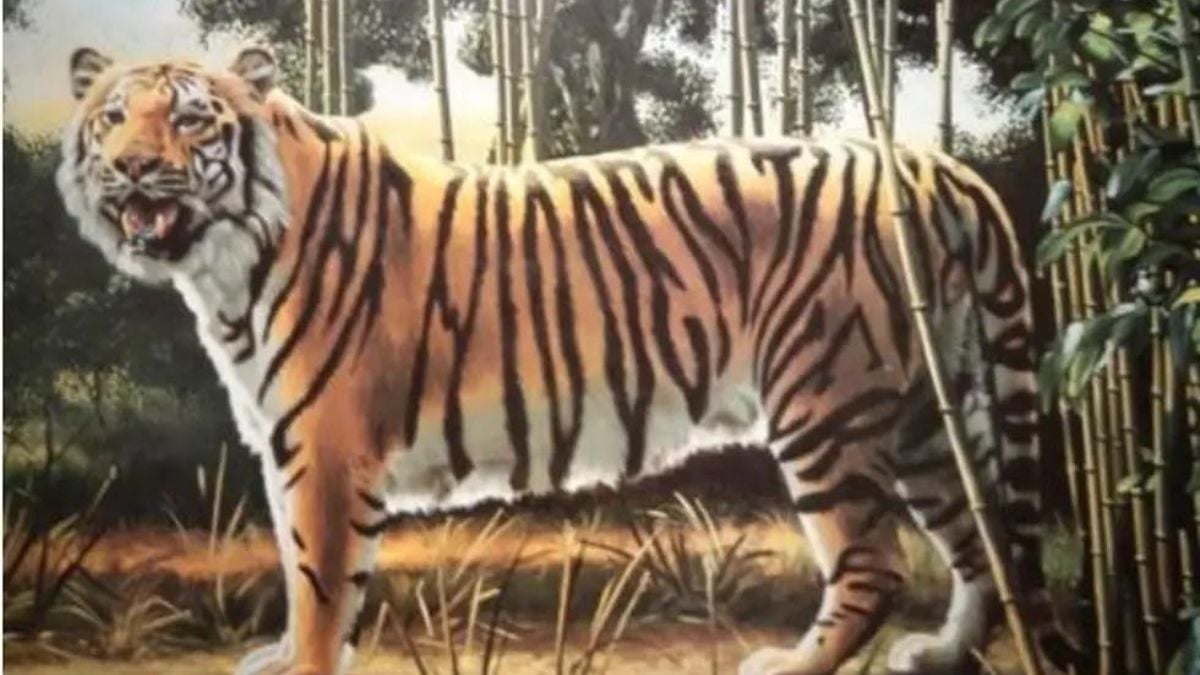 Optische Täuschung: Wer kann den zweiten Tiger im Bild entdecken?